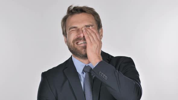 Portrait of Laughing Businessman Looking at Camera alt