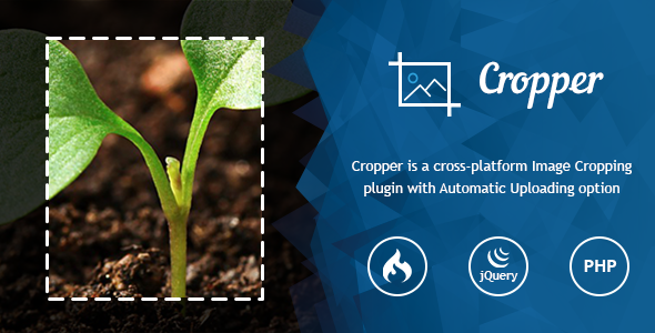 Ultra Image Cropper – Plugin built on PHP (CorePHP and CodeIgniter) Script