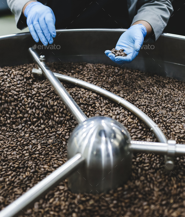 Man selecting fresh roasted coffee beans in modern coffee roasting machine