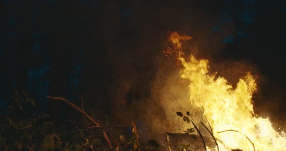 Military Operatives Going Thorugh Action and Juping Over Fire in Dense Forest at Night Concept of alt