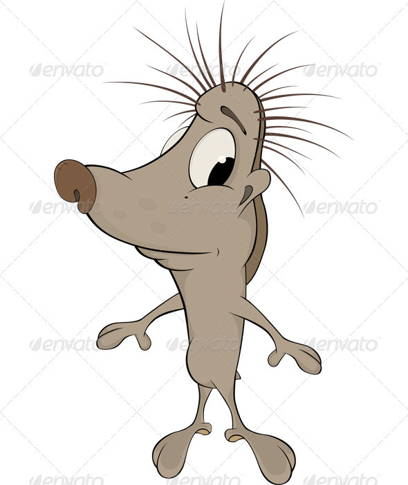 Hedgehog Cartoon - Animals Characters