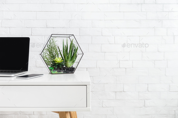 Desk With Laptop And House Plants At White Brick Wall Background Stock Photo By Prostock Studio