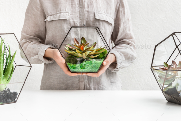 Professional florist 's service, commercial concept, copy space - Stock Photo - Images