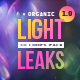 Organic Light Leaks 1.0 - VideoHive Item for Sale
