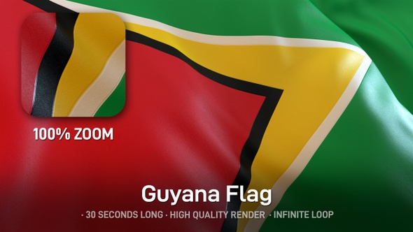 Guyana Flag alt