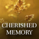 Cherished memory