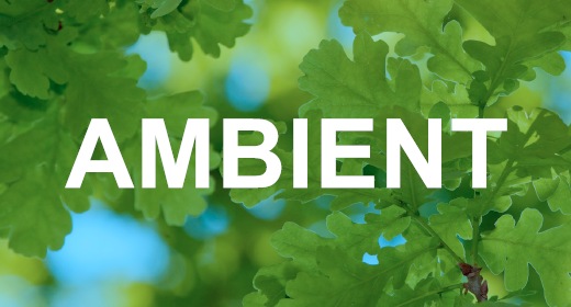 Ambient