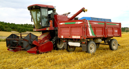Agriculture and wheat stock footage