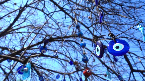 Colorful Evil Eye Bead Amulet On Tree 2