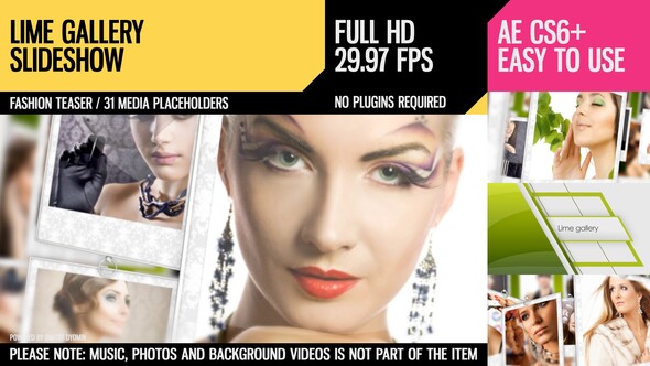 Lime Gallery - VideoHive 3925872
