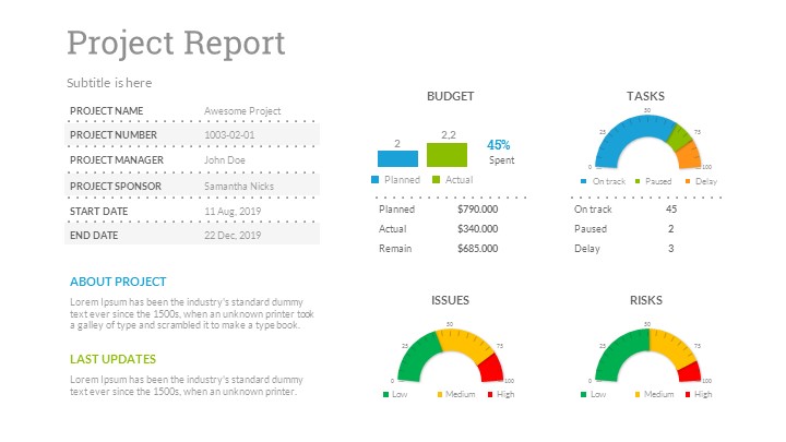 Project Status Google Slides by SanaNik | GraphicRiver