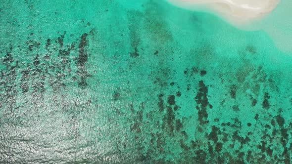 Aerial drone seascape of relaxing island beach wildlife by blue water with white sandy background of alt