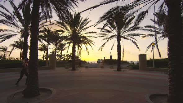 Running and riding bike on an alley at sunset alt