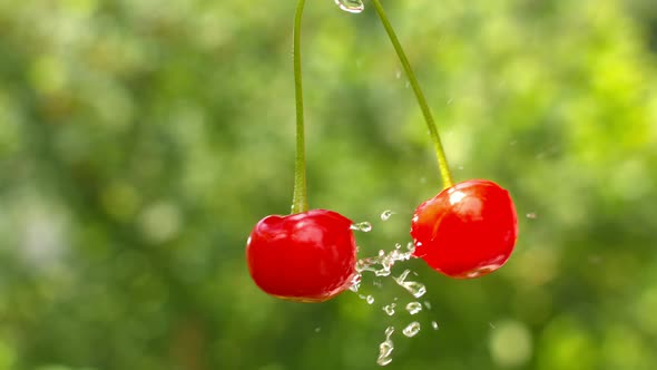 Two Cherries Collide In The Air With Water Splashes 4k alt