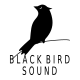 BlackBirdSound