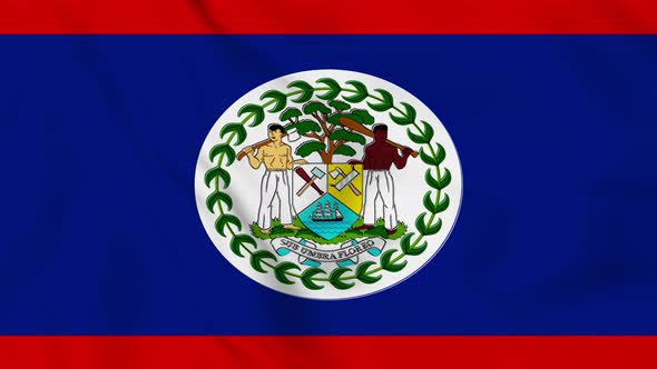Belize flag seamless closeup waving animation. Vd 1997