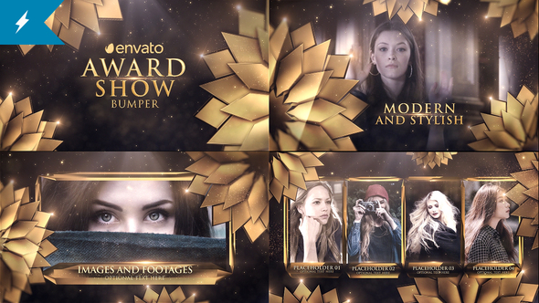 Awards Show Packaging - VideoHive 24223170