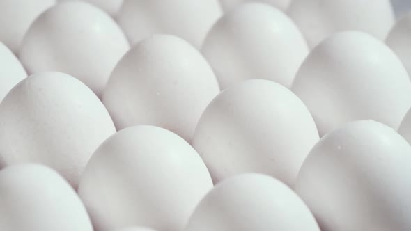 Lots of Fresh Raw Chicken Eggs in a Cardboard Box Rotation Shot Chicken White Fresh Raw Eggs in an alt