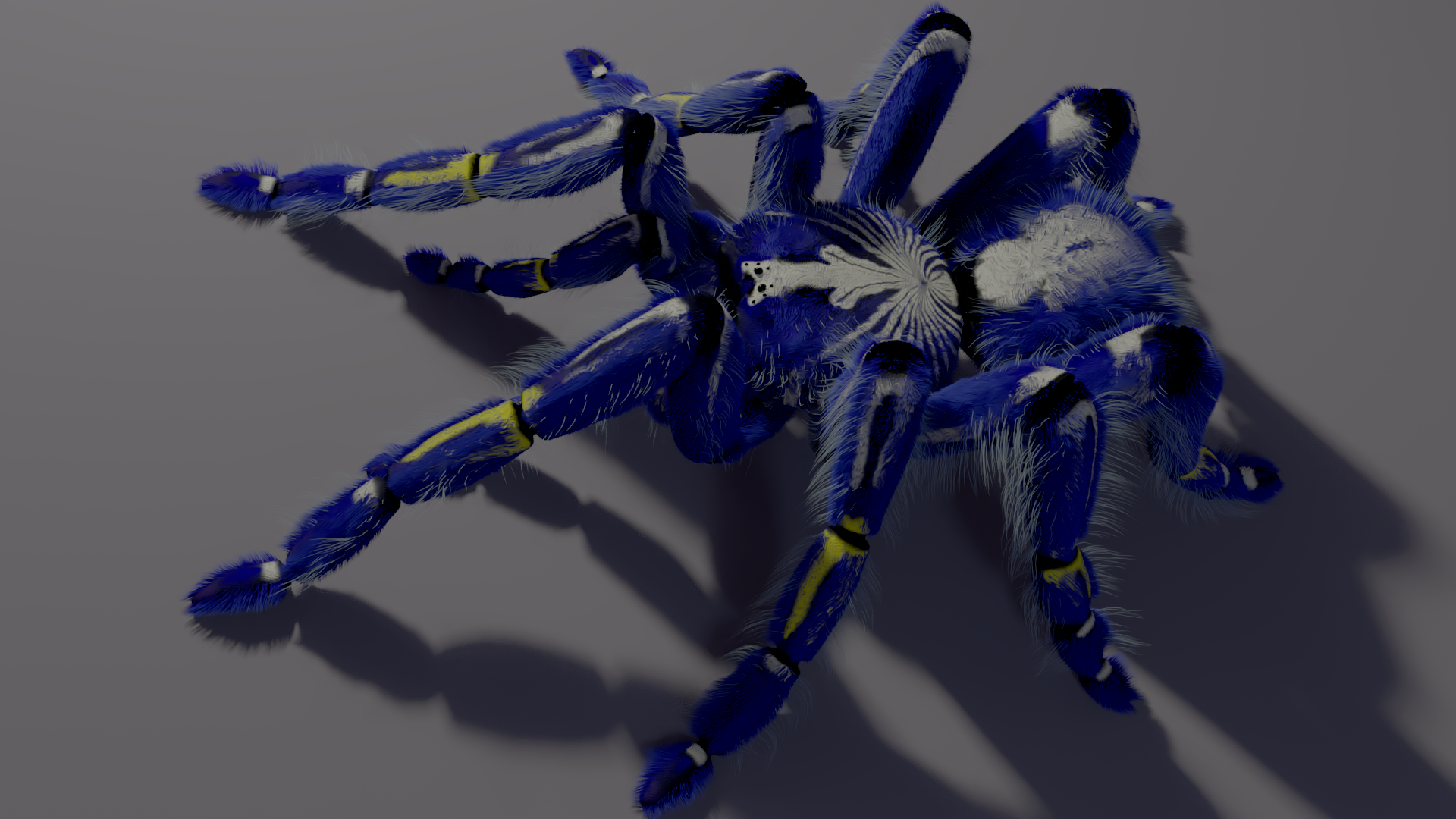 blue toy spider