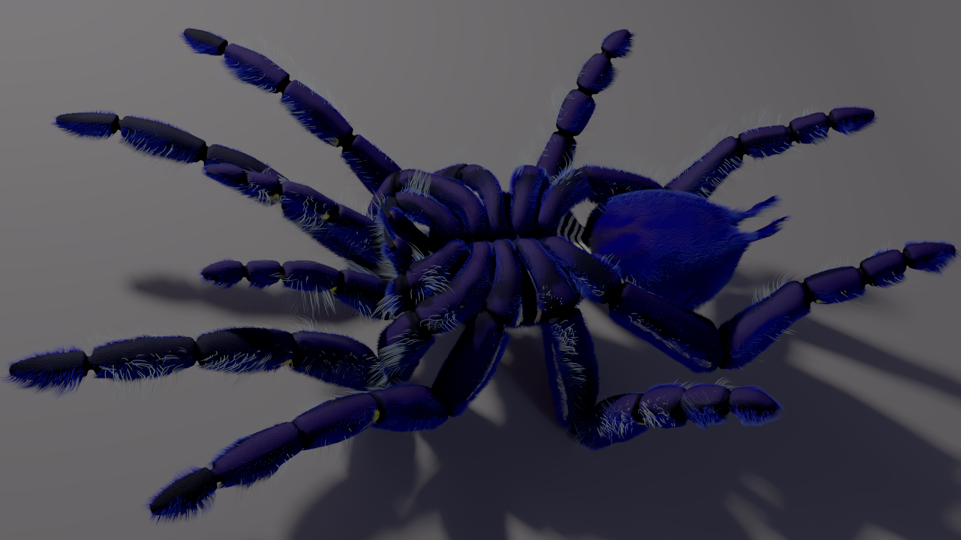 blue toy spider