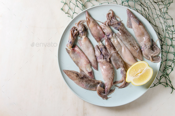 Raw Squids Calamari Stock Photo By Natashabreen Photodune