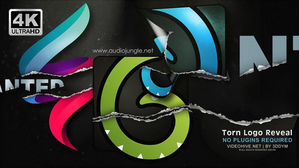 Torn Logo Reveal - VideoHive 24259405