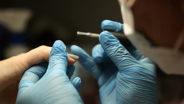 Manicurist in Blue Gloves Paints Nails. Applies Gel Polish To the Nail Plate