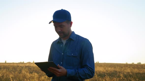 Farmer Businessman Working on Tablet Standing in Middle Wheat Field at Sunrise alt