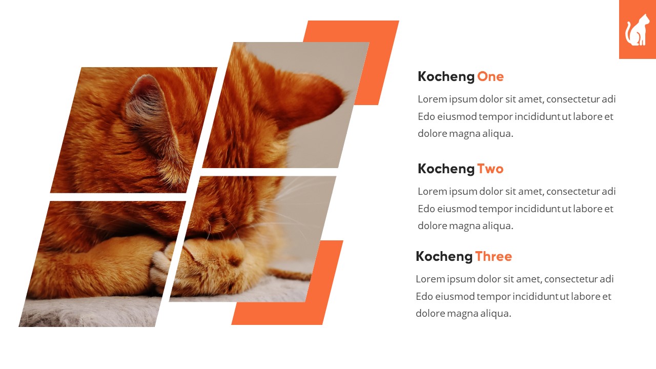 Kocheng - Cat Animal Google Slides Template, Presentation Templates
