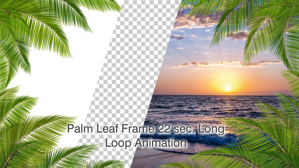 Palm Leaf Frame Loop 4K
