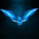 Magic Bird Logo Intro Magic Bird Logo Intro - VideoHive Item for Sale