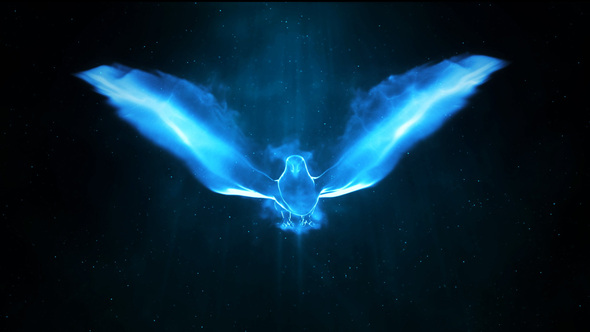 Magic Bird Logo Intro