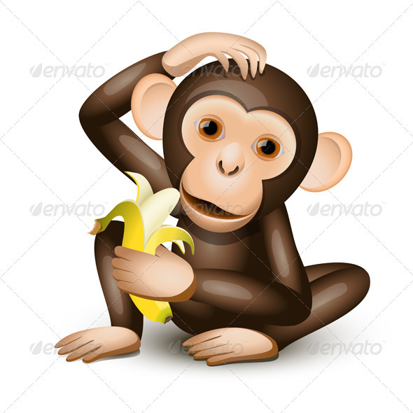Little monkey - Animals Characters