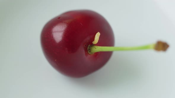 Larva Worm Crawls Along Smooth Surface of Ripe Large Red Cherry with Stalk alt