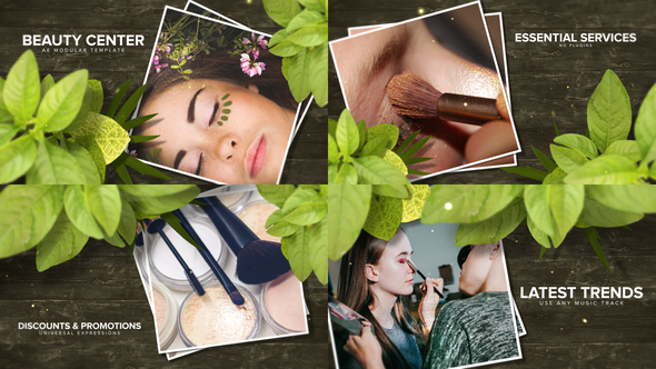 Beauty Center - VideoHive 24303707