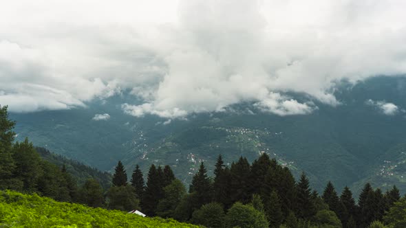 nature misty weather beauty of nature  alt