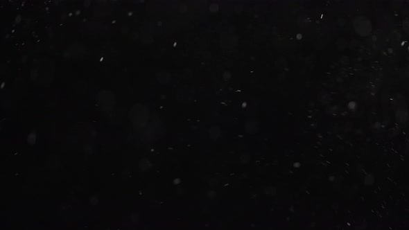Floating White Specks of Dust Are Glittering on Black Background. alt