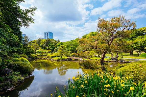 Shinjuku Gyoen National Garden In Tokyo Stock Photo By Filedimage Photodune