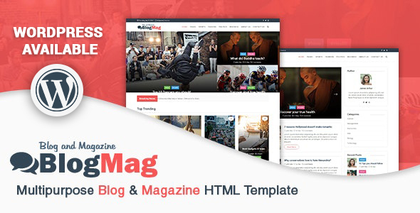 BlogMag - Multipurpose - ThemeForest 22583156