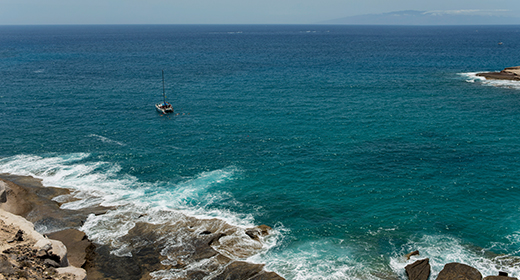 Vacations & Expeditions