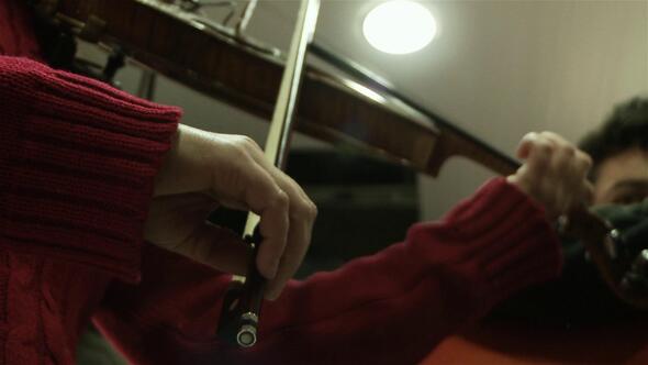 Young Woman playing a Violin. Close Up. alt