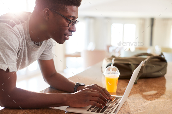 Millennial African American man checking fitness data on laptop at home after gym, side view