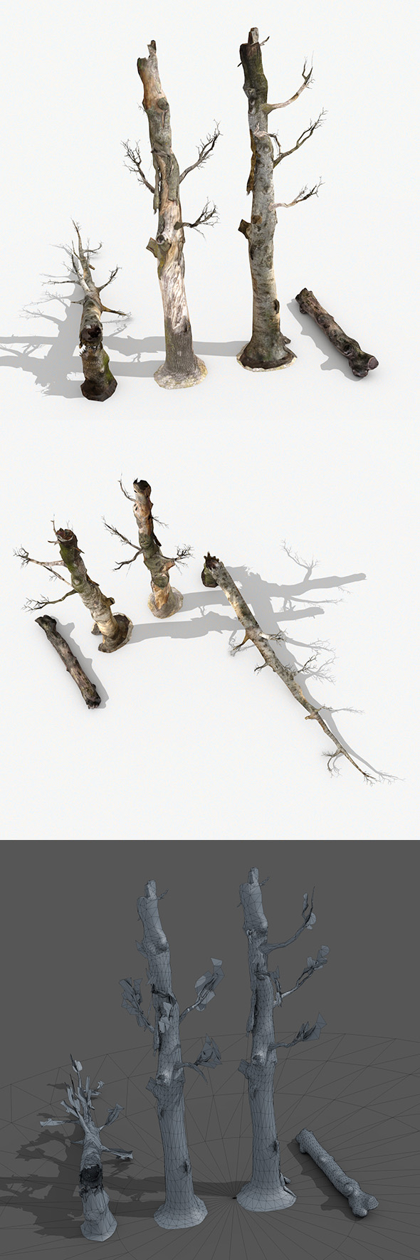 Dead Trees Collection - 3Docean 24355852