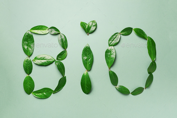 Word Bio made of leaves on green background. Top view. Flat lay. Ecology, eco friendly planet and