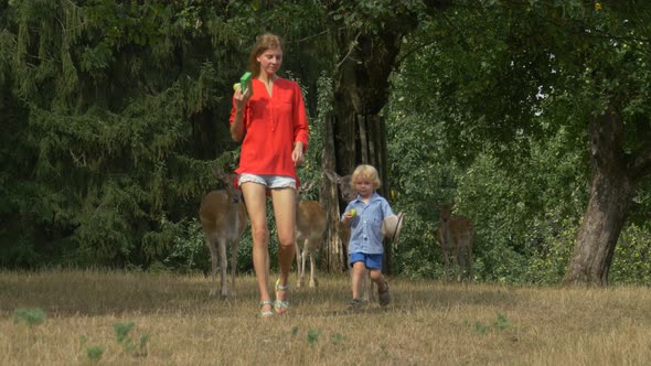 Mother with child in the wildlife park with tame deer