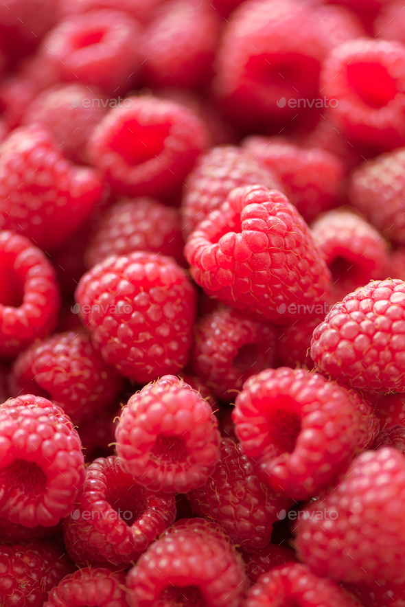 Ripe raspberries macro. Selective focus. Fruit background with copy space. Summer and berries - Stock Photo - Images