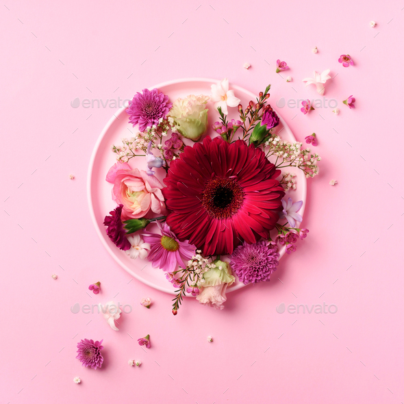 Gerbera and spring flowers on pink plate over punchy pastel background. Top view, flat lay. Square - Stock Photo - Images