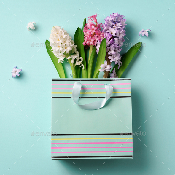 Spring hyacinth flowers in shopping paper bag on blue punchy pastel background. Square crop. Spring - Stock Photo - Images