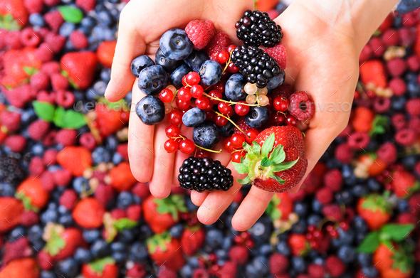 Woman hands holding organic fresh berries against the background of strawberry, blueberry - Stock Photo - Images