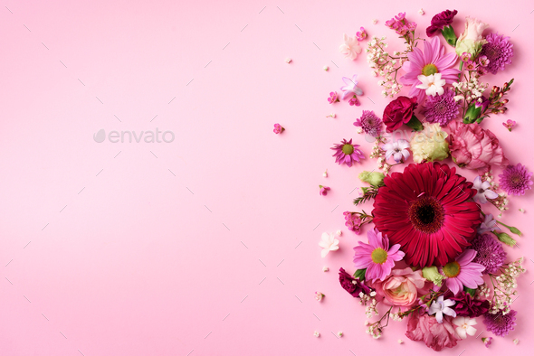 Spring composition of pink flowers on punchy pastel background with copy space. Creative layout - Stock Photo - Images